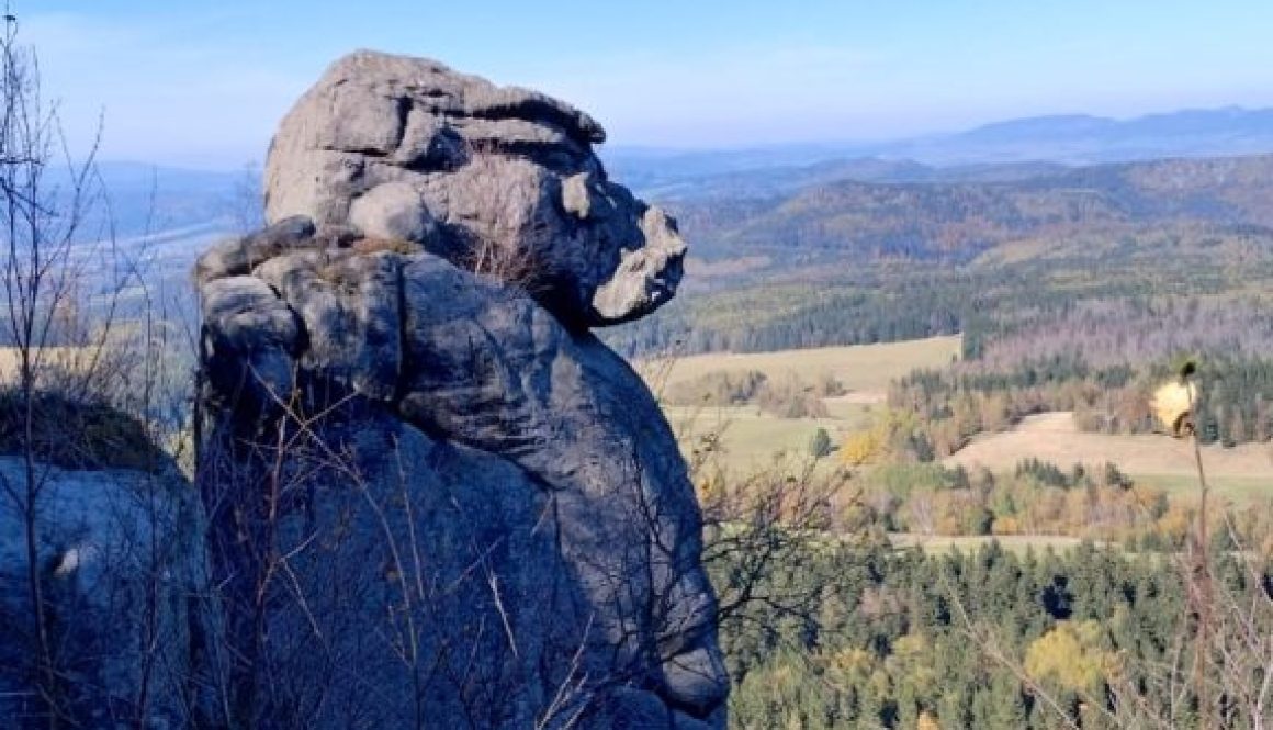 WhatsApp-Image-2024-10-17-at-09.21.23