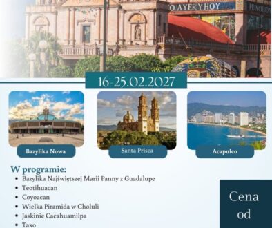 MEKSYK 2027